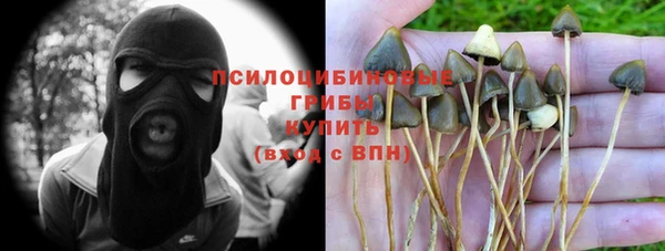 ALPHA PVP Бородино