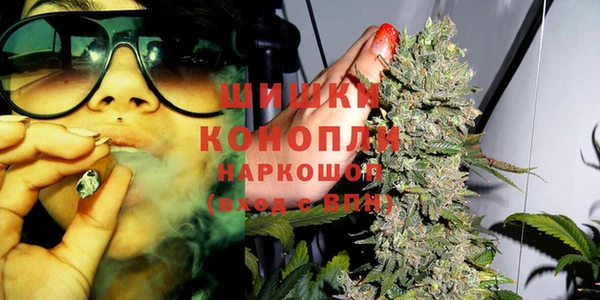ГАЛЛЮЦИНОГЕННЫЕ ГРИБЫ Бронницы