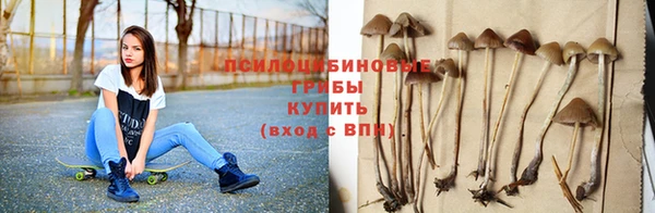 ALPHA PVP Бородино