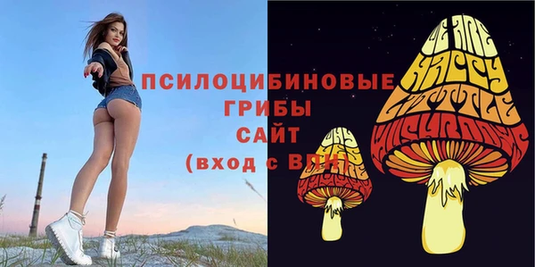 ГАЛЛЮЦИНОГЕННЫЕ ГРИБЫ Бронницы